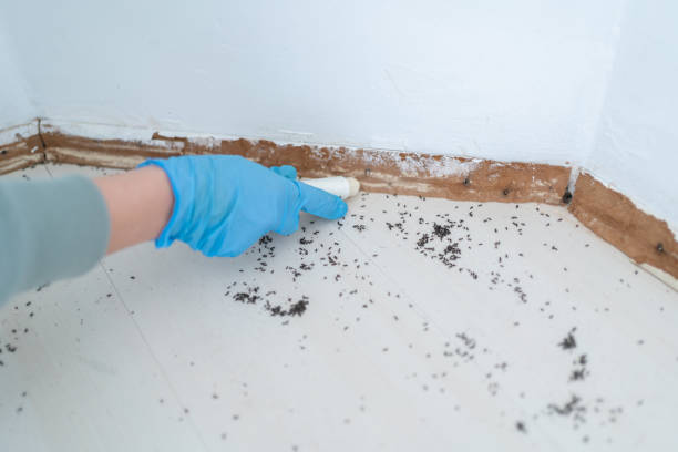 Best Commercial Pest Control Services  in Carrizo Hill, TX